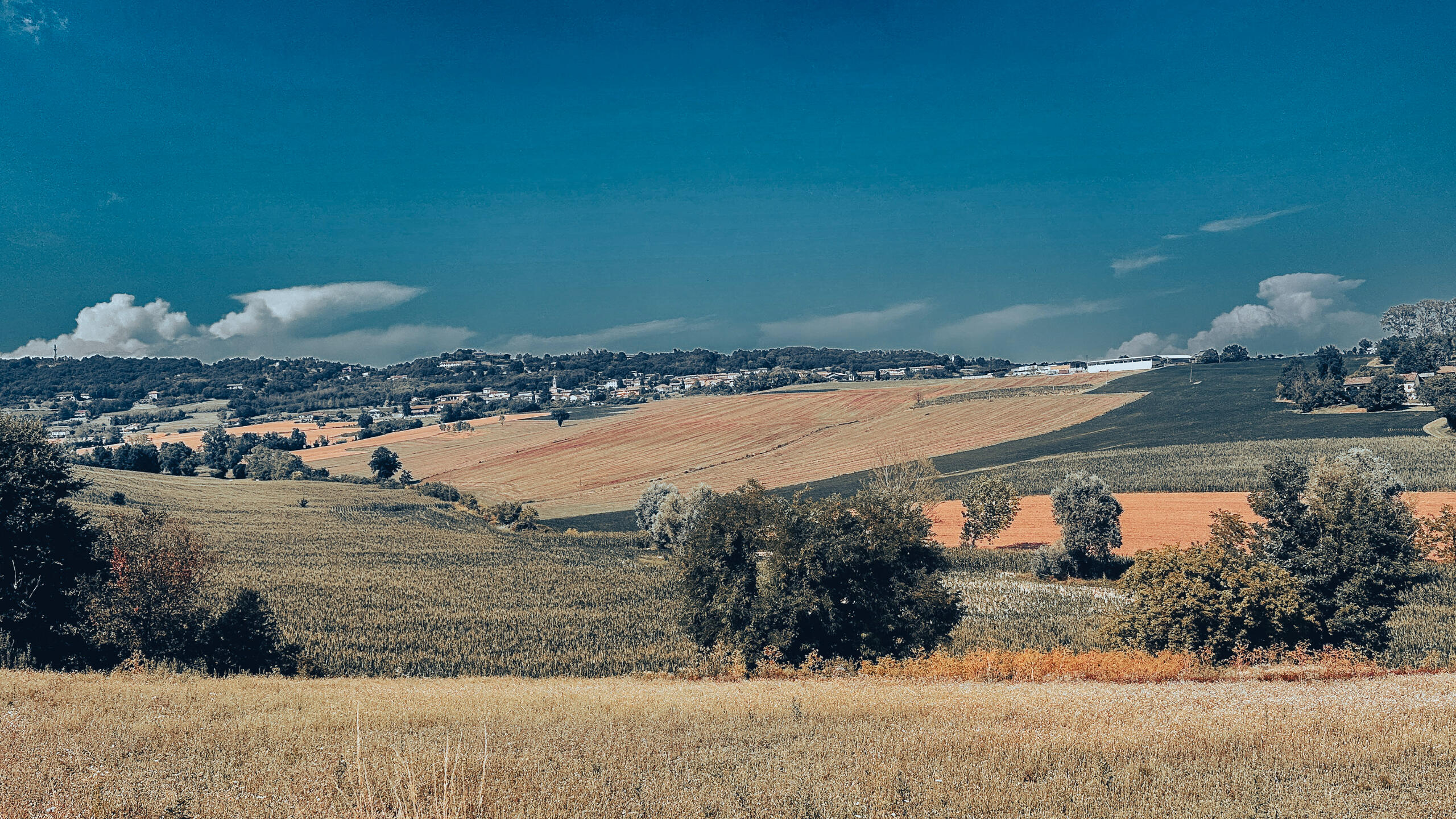 Untitled Untitled